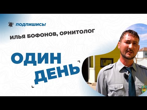 Видео: ОДИН ДЕНЬ | Илья БОФОНОВ, орнитолог