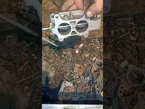 Видео: Изысканно!