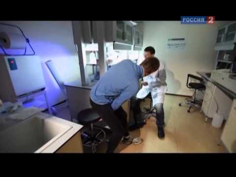 Видео: Технологии спорта. Легкая атлетика