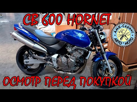 Видео: Осмотр перед покупкой  Honda CB600 HORNET 2002