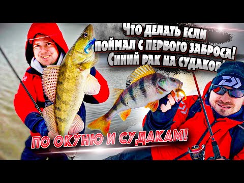 Видео: Зимний спиннинг | Москва река | Джиг риг | Синий Vikhcraw