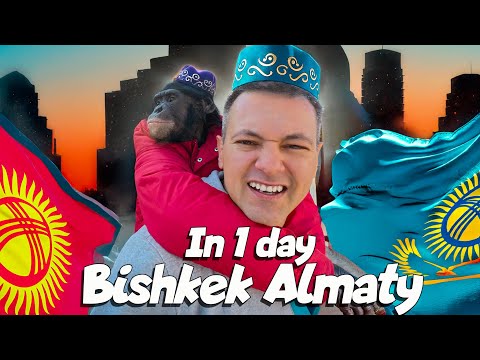 Видео: Из Бишкека в Алматы за 24 Часа! Как Мы Перевезли Шимпанзе