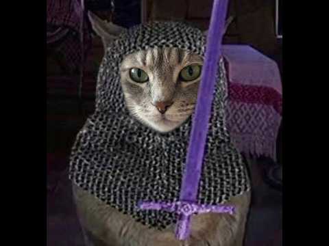 Видео: Взрываем глаза, открываем сундук 5 день в Terraria 1.4.5 за воина