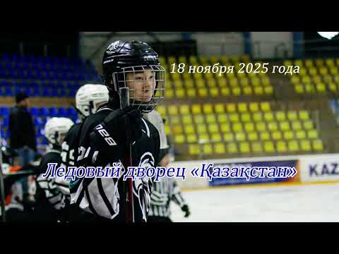 Видео: Приглашение на игры чемпионата по хоккею с шайбой