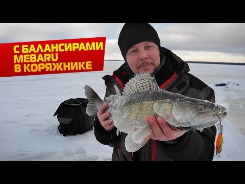 Видео: Ловля судака и щуки на балансир в коряжнике