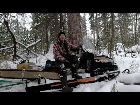 Видео: Проверяю капканы. Есть соболь. Лось. Продолжаю рассказ.