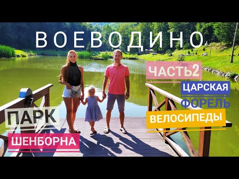 Видео: Парк Графа Шенборна, ловля форели, катание на велосипедах! Как здорово отдыхать в Воеводино!