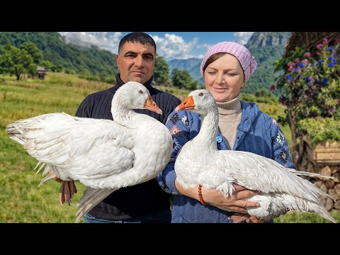 Видео: Сочная утка с ароматным пловом, приготовленная в деревне!