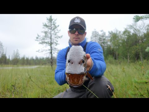 Видео: И снова рыбалка , и снова в Карелии ! 2-я часть / Дикие