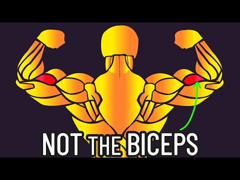 Видео: Эта мышца руки недооценена (не игнорируйте ее)