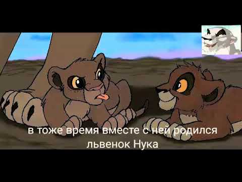 Видео: История Дотти