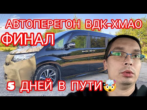 Видео: АВТОПЕРЕГОН ВЛАДИВОСТОК-ХМАО. МИНИВЕН ДО МИЛЛИОНА??ОБСОХ НА HONDA STEPWGN🤯#автоперегон 