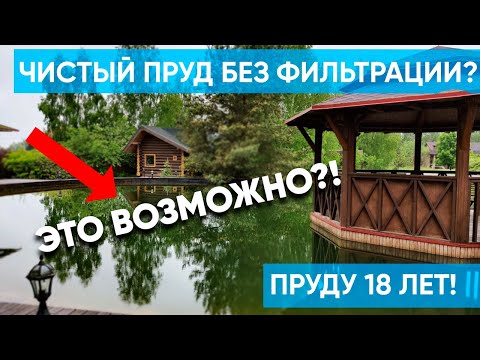 Видео: Построили пруд без фильтрации 18 лет назад. Что с ним стало? #пруд #фильтрацияпруда