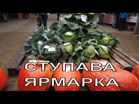 Видео: Ступава город в Словакии  Ярмарка