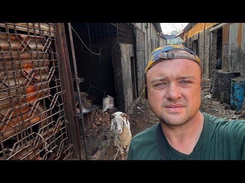Видео: Такого мы не ожидали от Кыргызстана! Это запомнится надолго!