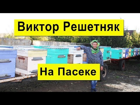 Видео: На Пасеке Виктора Решетняка ✅ Пчеловод Рационализатор с множеством идей ✅