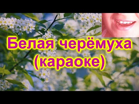 Видео: КАРАОКЕ -  АХ ЧЕРЁМУХА БЕЛАЯ - КАРАОКЕ ПОЁМ ВМЕСТЕ - КАРАОКЕ ПЕСНЯ ДЛЯ КОМПАНИИ