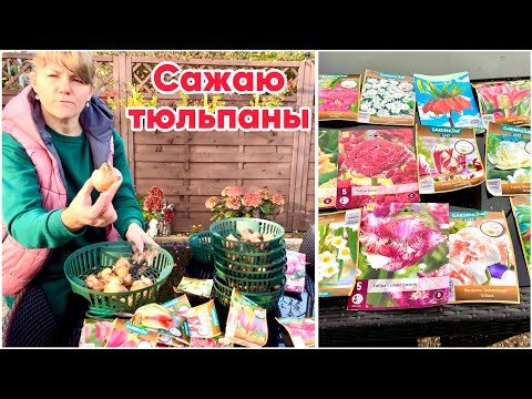 Видео: Корзинки для тюльпанов от грызунов  / Новые сорта из Голландии  / Дачный Влог