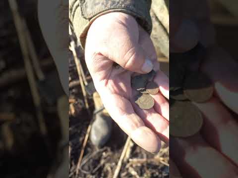 Видео: Урочище Надеждино-Бузлово , место где жили Кулугуры.