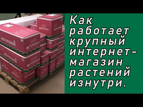 Видео: Как собирают наши посылки с растениями в интернет-магазинах. В гостях у Florium!