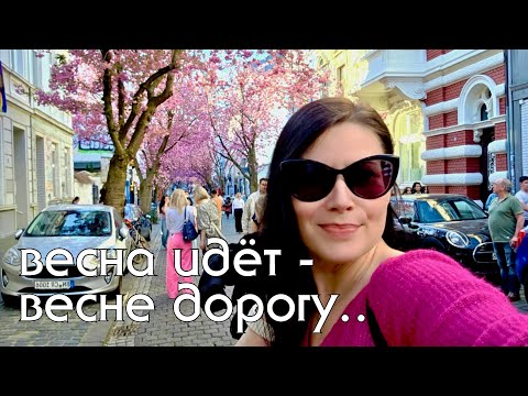 Видео: Что я ем на low carb питании, быстрый обед и ужин. В нашей деревне пополнение - новый магазин