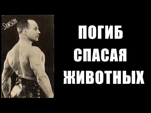 Видео: АЛЕКСАНДР ЗАСС сила не в сухожилиях а в нервной системе