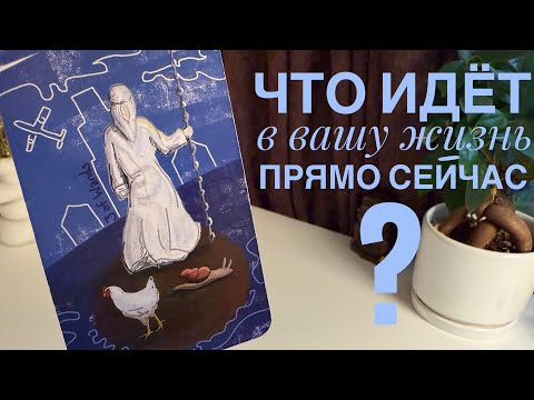 Видео: Что идёт в вашу жизнь прямо сейчас?