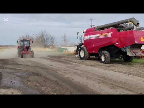 Видео: Порядок - дело общее!