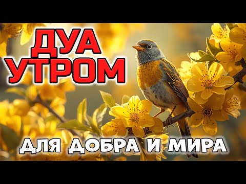 Видео: ДУА ДЛЯ ПРИВЛЕЧЕНИЯ ДОБРА И ОТТАЛКИВАНИЯ ЗЛА! 🤲☀️