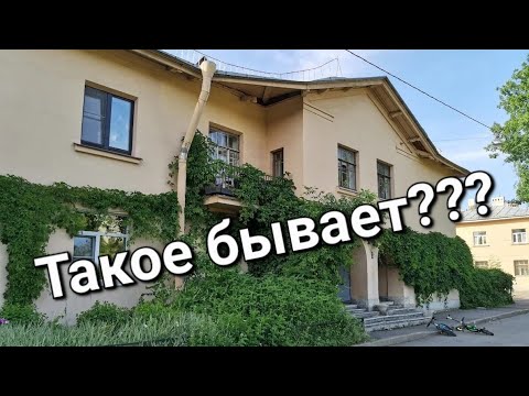 Видео: ПАЛЕВСКИЙ ЖИЛМАССИВ.Самые необычные дома в СПБ.