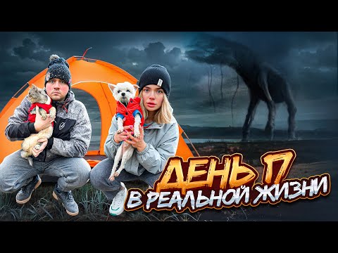 Видео: ДЕНЬ 17 В РЕАЛЬНОЙ ЖИЗНИ | 24 ЧАСА В ПАЛАТКЕ С КОТОМ И СОБАКОЙ