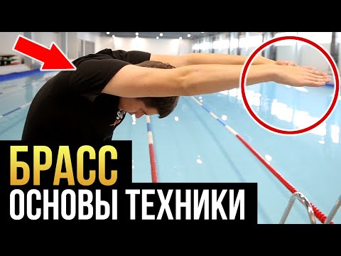 Видео: Не делай эти ошибки в брассе! Техника плавания брассом пошагово для начинающих