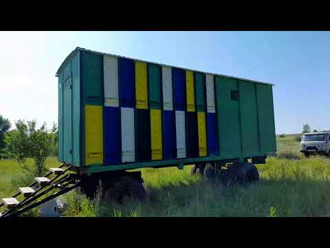 Видео: моя кочевая пасека