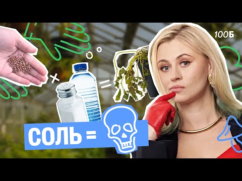 Видео: Влияние соленой воды на прорастание семян | Ксения Напольская