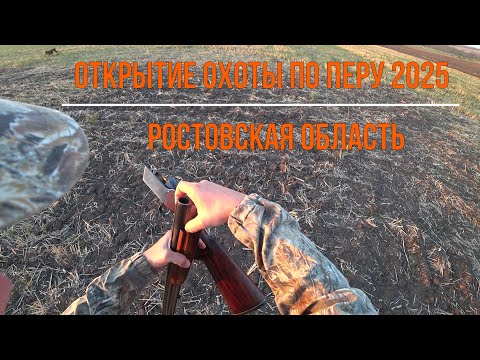Видео: Открытие охоты по перу 2025. Ростовская область.