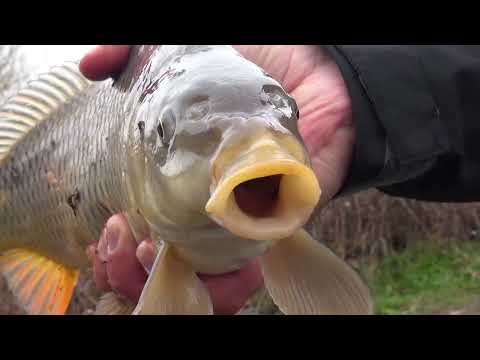 Видео: Марица през зимата - част 2