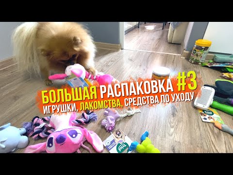 Видео: Распаковка посылки для собак #3. Triol. Gamma. Gigwi. Шпиц Оливия у ветеринара