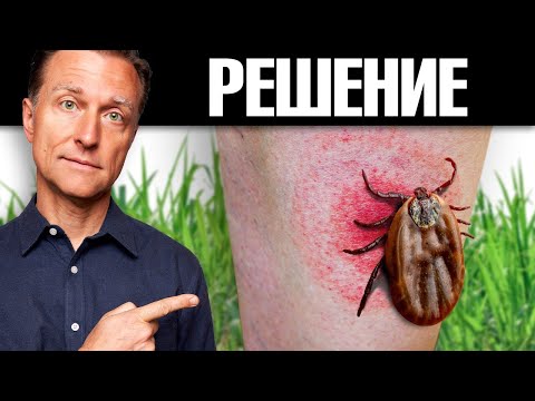 Видео: При дефиците этого нутриента от боррелиоза не избавиться 🧐