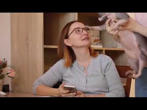 Видео: ОТВЕТЫ НА ВОПРОСЫ 1 | Муж или ребенок?