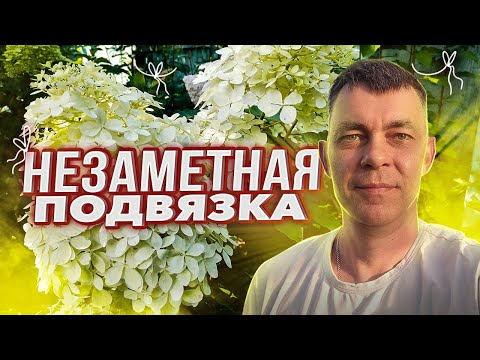 Видео: НЕЗАМЕТНАЯ И БЫСТРАЯ ПОДВЯЗКА МЕТЕЛЬЧАТЫХ ГОРТЕНЗИЙ БОНФАЕР, ПИКСИО / КАК ПОДВЯЗАТЬ ГОРТЕНЗИИ В САДУ