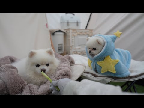 Видео: Щенок ждет бабушку весь день | Почему я создал собственный кемпинг [Ru Pong House Camping V-log]