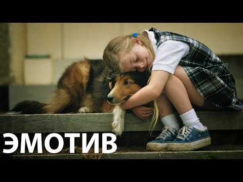 Видео: Эмотив | Оперативная психология