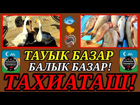 Видео: 🐓ТАУЫК-БАЛЫК🐟БАЗАР ПТИЧИЙ РЫНОК #тахиаташ#каракалпакистан#узбекистан#цены#базар#рынок#куры