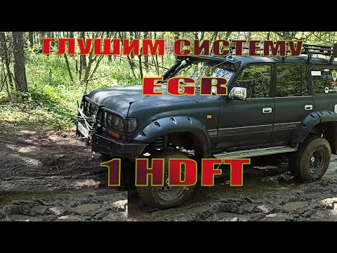 Видео: Как заглушить EGR  на двигателе 1HDFT! Egr 80 Tlc80!