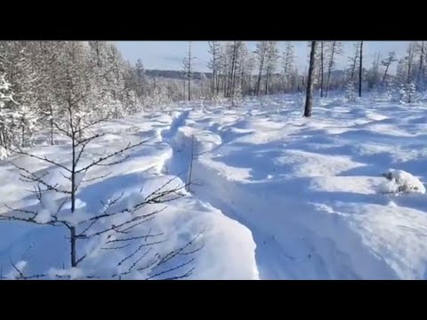 Видео: Мотоснегокат DRAXTER- лонг по глубокому снегу.