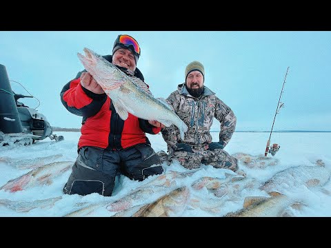 Видео: ХОТЕЛИ РАЗЛОВИТЬ 135 ВИБЫ! ЗИМНЯЯ РЫБАЛКА в КАЗАНИ на KZN Fishing, РАБОЧИЕ БАЛАНСИРЫ СЕРГЕЯ ЖМУРА!
