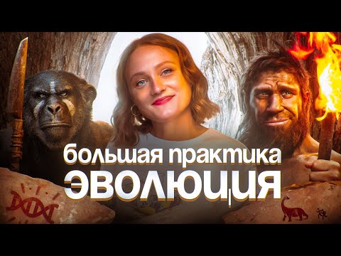 Видео: Эволюция. Большая практика | ЕГЭ-2025 по биологии