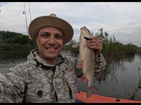 Видео: Язь на фиолетовую кряказябру на реке Томь в районе средней Терси
