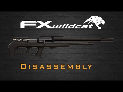 Видео: Как разобрать FX Wildcat MkI — мастер-класс по FX