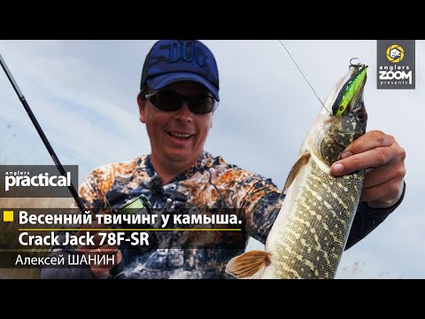 Видео: Весенний твичинг у камыша. Crack Jack 78F-SR. Алексей Шанин. Anglers Practical